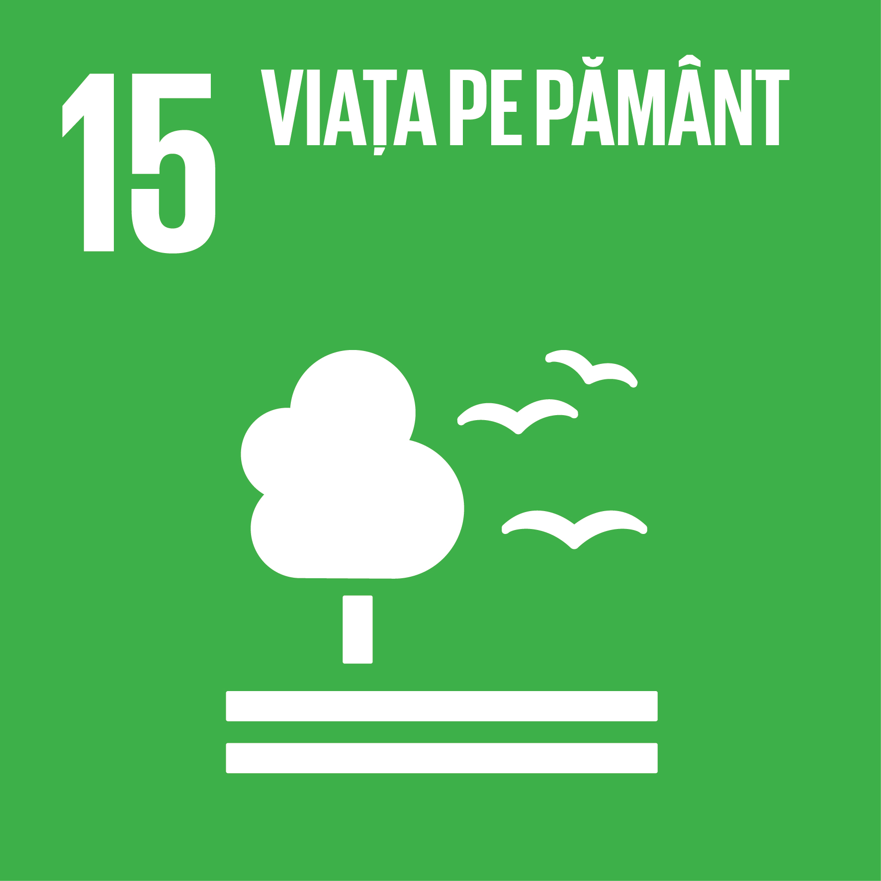 Viața pe pământ - Obiectiv 15